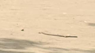 CHILDHOOD LOST IN CHAOS